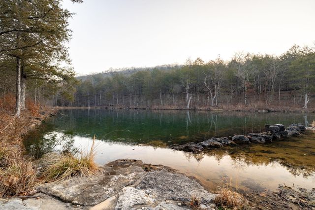 863 Collins Lane, Galena, MO 65656