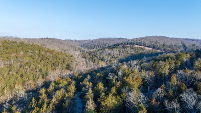 863 Collins Lane, Galena, MO 65656