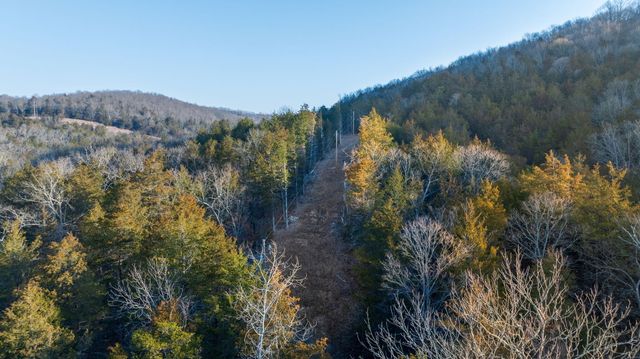 863 Collins Lane, Galena, MO 65656