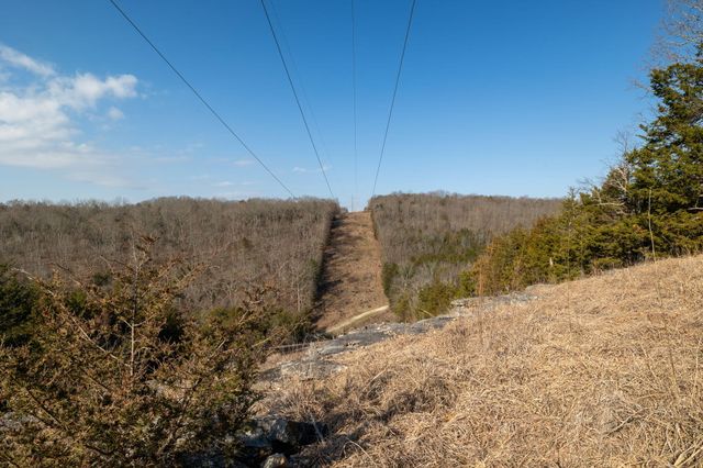 863 Collins Lane, Galena, MO 65656