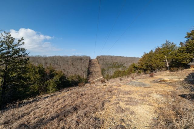 863 Collins Lane, Galena, MO 65656