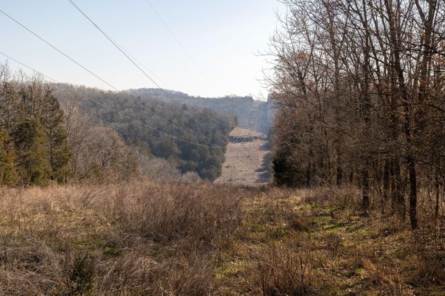 863 Collins Lane, Galena, MO 65656