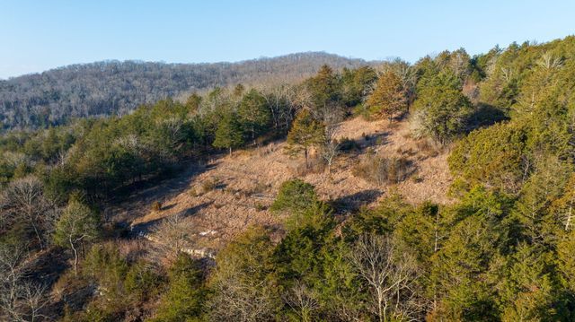 863 Collins Lane, Galena, MO 65656