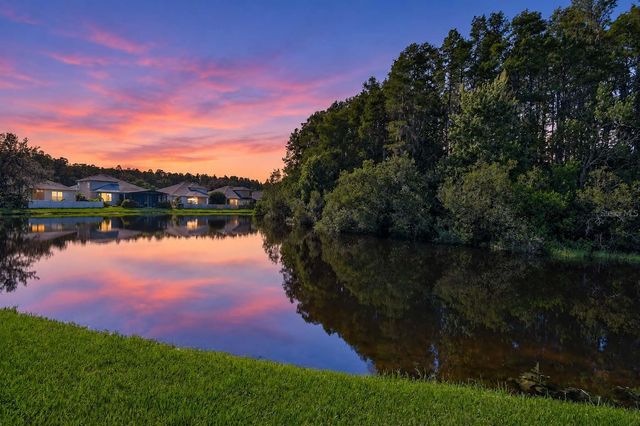 3240 DOWNAN POINT DRIVE, Land O Lakes, FL 34638