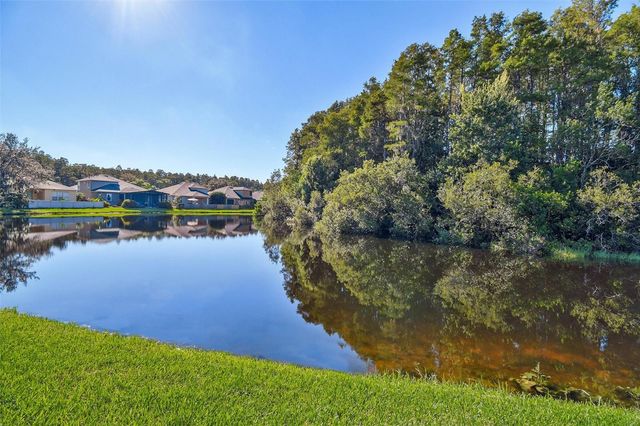 3240 DOWNAN POINT DRIVE, Land O Lakes, FL 34638