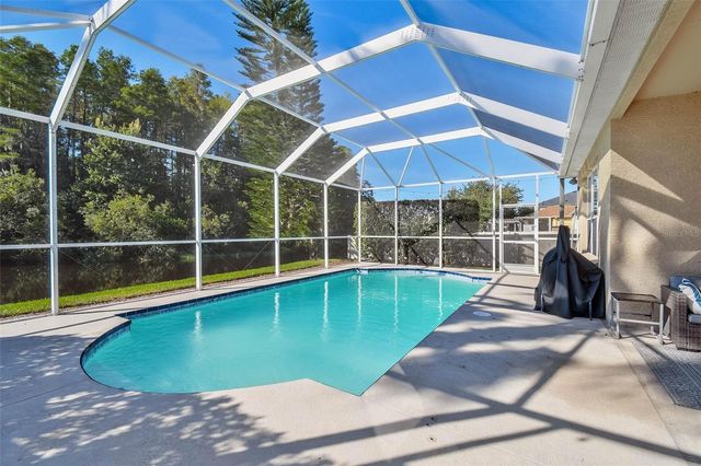 3240 DOWNAN POINT DRIVE, Land O Lakes, FL 34638