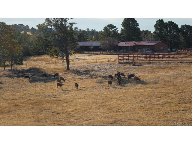 24063 CR 122, Ramah, CO 80832