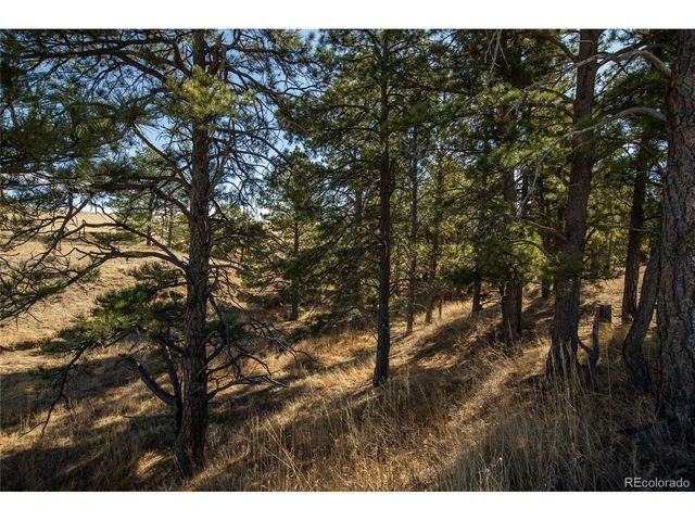 24063 CR 122, Ramah, CO 80832