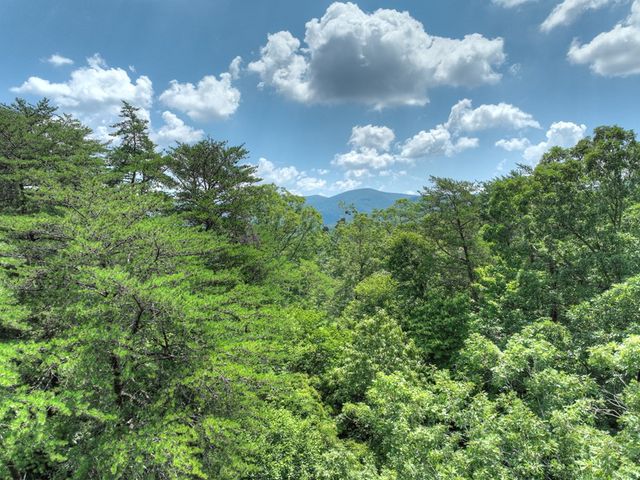 Lot 34 Greystone Trace, Ellijay, GA 30536