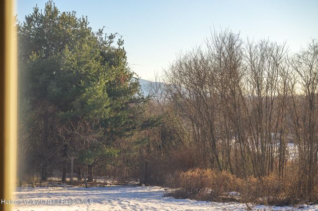 66 Anthony Street, Hillsdale, NY 12529