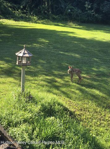 66 Anthony Street, Hillsdale, NY 12529