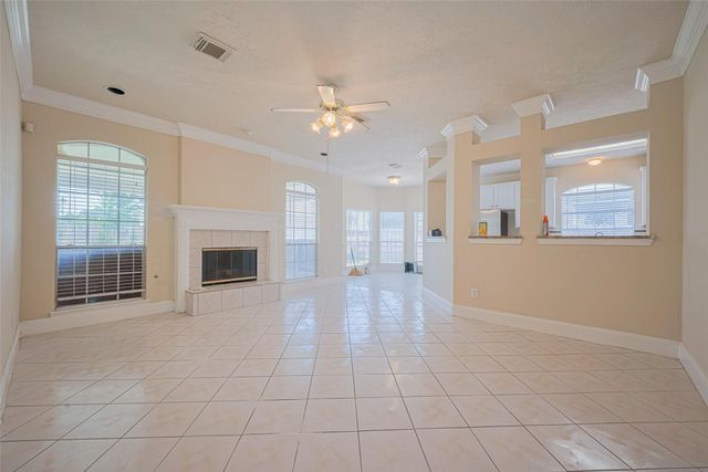 14203 Torrey Village Drive, Houston, TX 77014