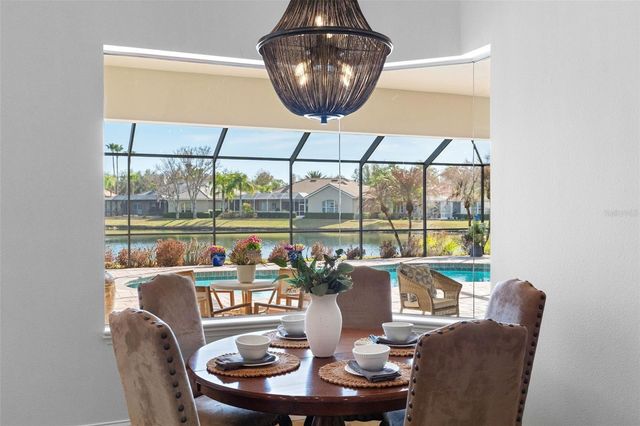 17214 BROADOAK DRIVE, Tampa, FL 33647