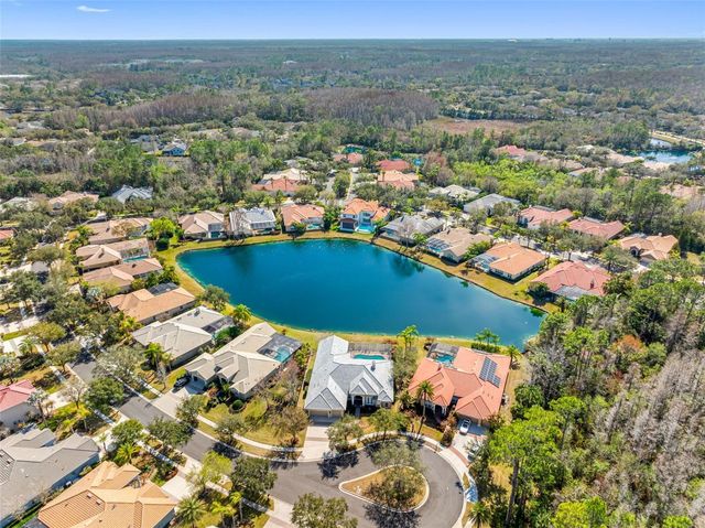 17214 BROADOAK DRIVE, Tampa, FL 33647