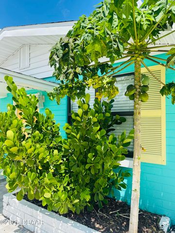 49 Alamanda Drive, Ormond Beach, FL 32176