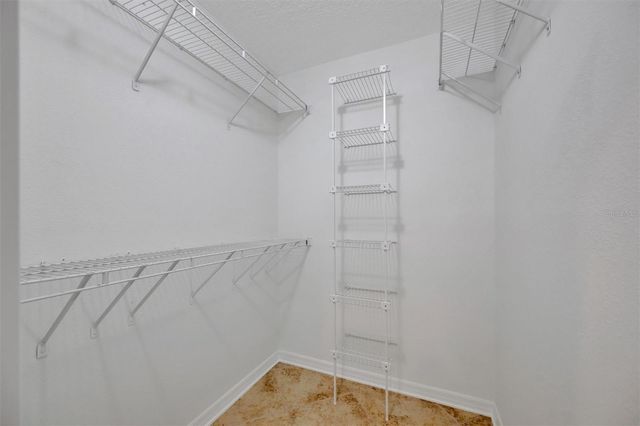 2839 SAFE HARBOR DRIVE, Tampa, FL 33618