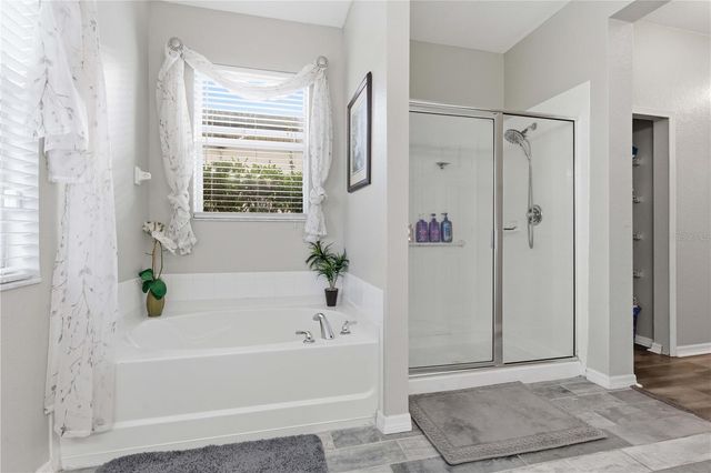 11414 BRIDGE PINE DRIVE, Riverview, FL 33569