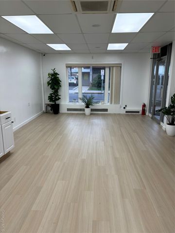 10 Verbena Avenue First Floor First Floor, Front, Floral Park, NY 11001