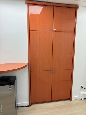 10 Verbena Avenue First Floor First Floor, Front, Floral Park, NY 11001