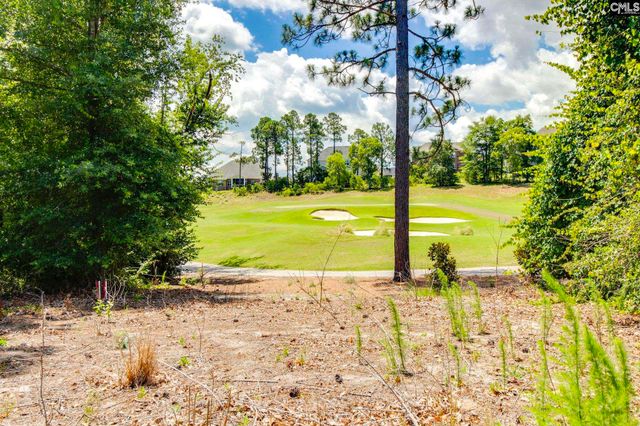 166 Backspin Drive, Elgin, SC 29045