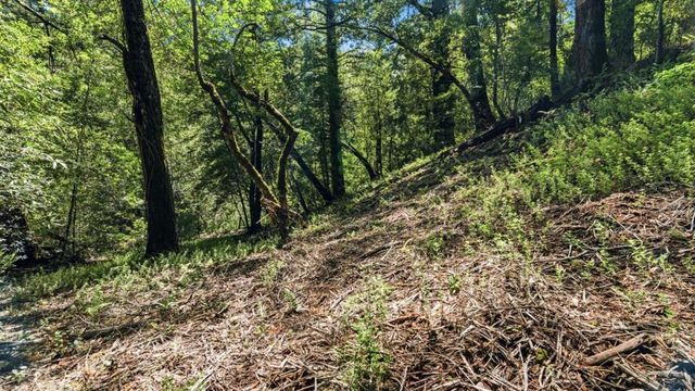 360 Rincon Way, Boulder Creek, CA 95006