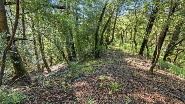 360 Rincon Way, Boulder Creek, CA 95006
