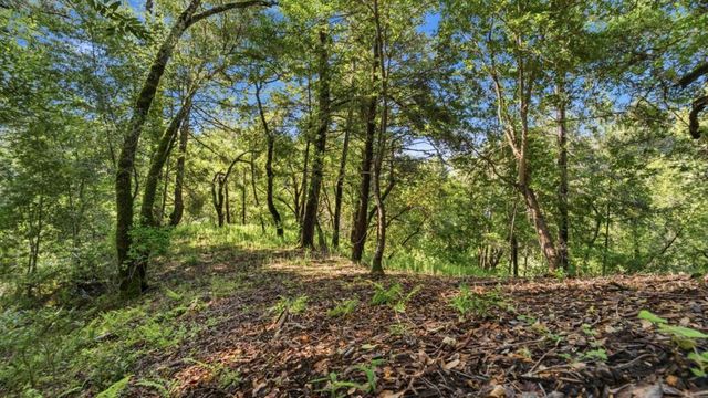 360 Rincon Way, Boulder Creek, CA 95006