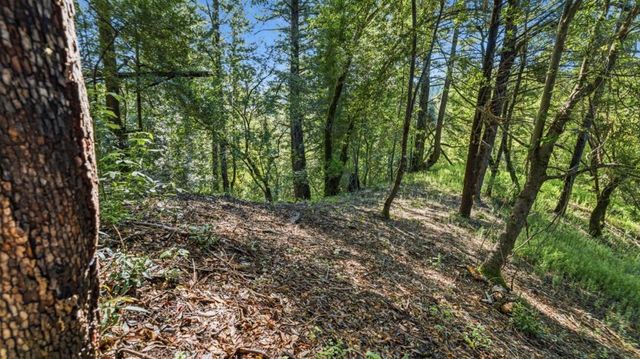 360 Rincon Way, Boulder Creek, CA 95006