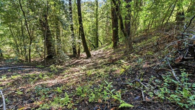 360 Rincon Way, Boulder Creek, CA 95006