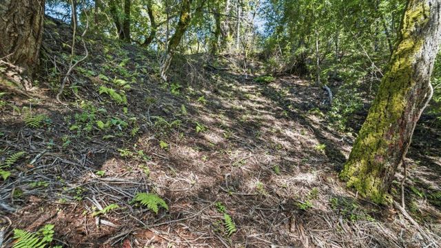 360 Rincon Way, Boulder Creek, CA 95006