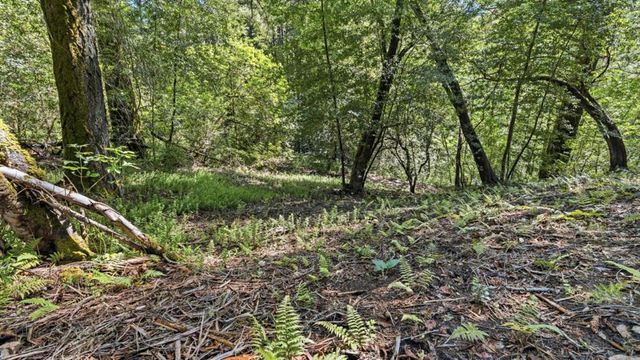 360 Rincon Way, Boulder Creek, CA 95006