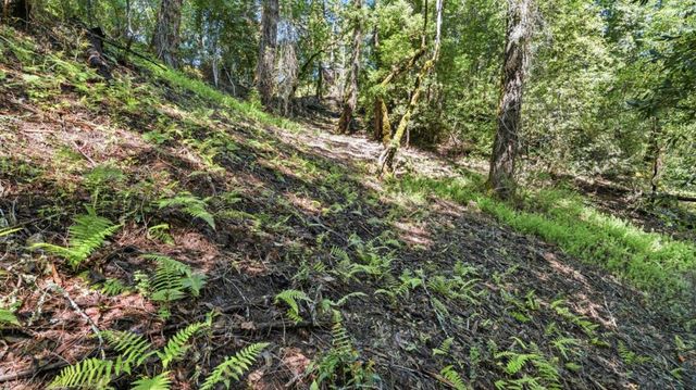 360 Rincon Way, Boulder Creek, CA 95006