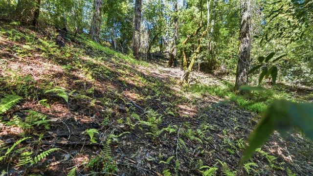 360 Rincon Way, Boulder Creek, CA 95006