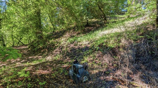 360 Rincon Way, Boulder Creek, CA 95006