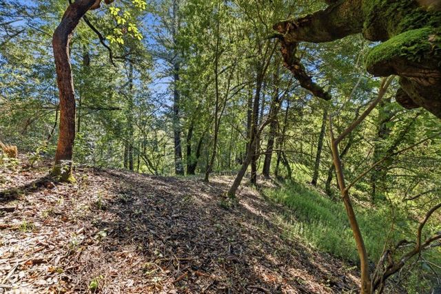 360 Rincon Way, Boulder Creek, CA 95006