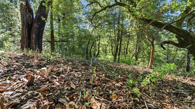 360 Rincon Way, Boulder Creek, CA 95006