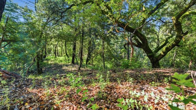 360 Rincon Way, Boulder Creek, CA 95006