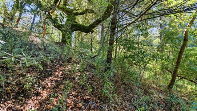 360 Rincon Way, Boulder Creek, CA 95006