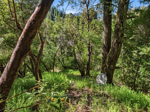 360 Rincon Way, Boulder Creek, CA 95006