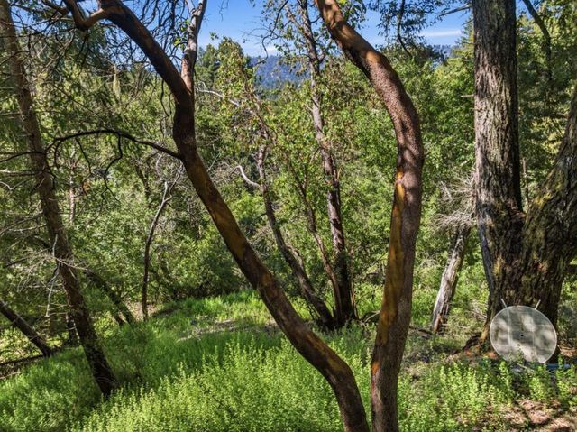 360 Rincon Way, Boulder Creek, CA 95006