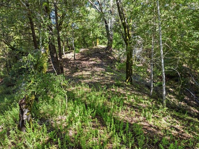360 Rincon Way, Boulder Creek, CA 95006