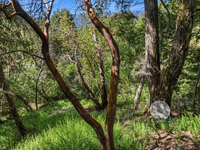 360 Rincon Way, Boulder Creek, CA 95006
