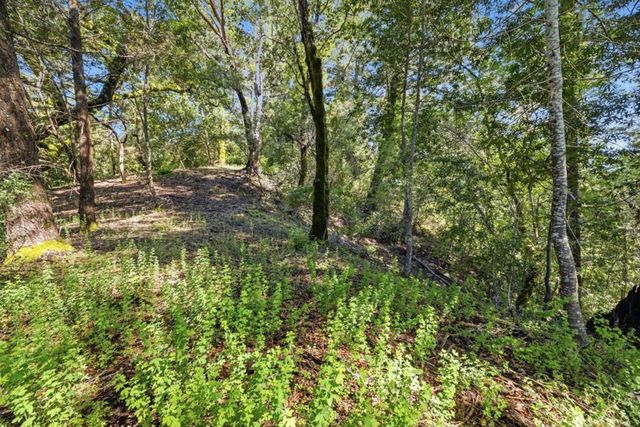 360 Rincon Way, Boulder Creek, CA 95006