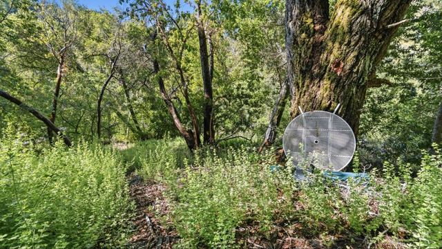 360 Rincon Way, Boulder Creek, CA 95006