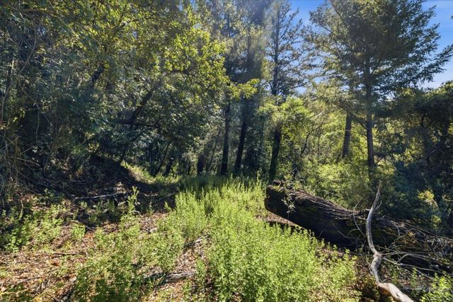 360 Rincon Way, Boulder Creek, CA 95006