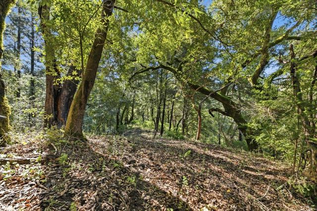360 Rincon Way, Boulder Creek, CA 95006