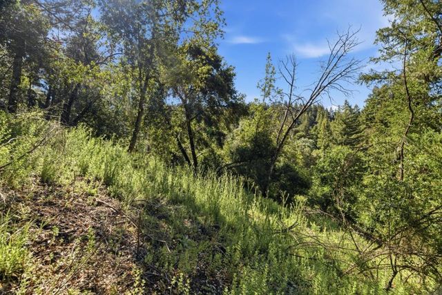 360 Rincon Way, Boulder Creek, CA 95006