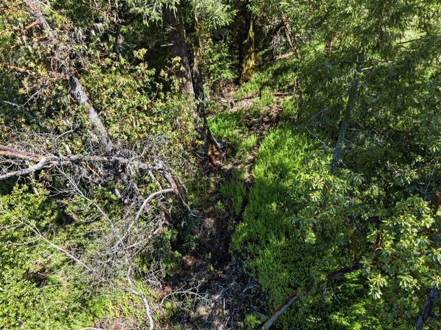 360 Rincon Way, Boulder Creek, CA 95006