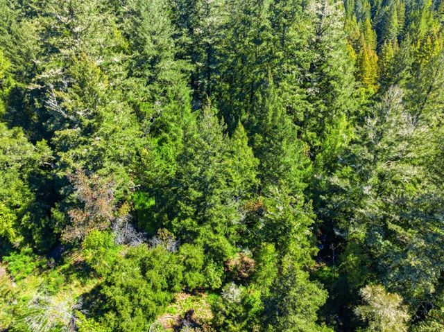 360 Rincon Way, Boulder Creek, CA 95006