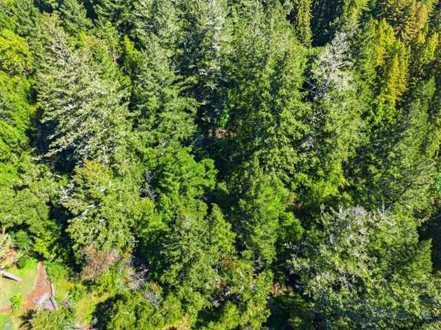 360 Rincon Way, Boulder Creek, CA 95006